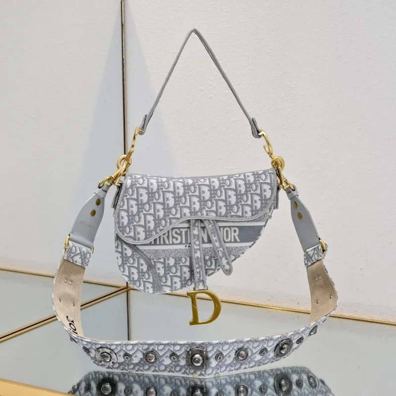 Dior Saddle Bags-61