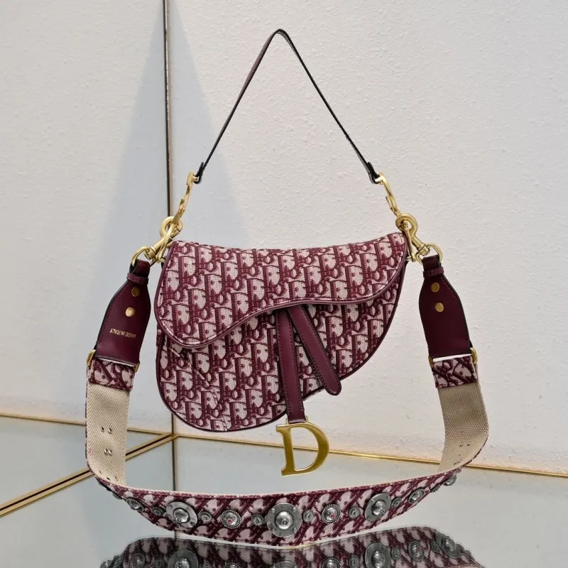 Dior Saddle Bags-63