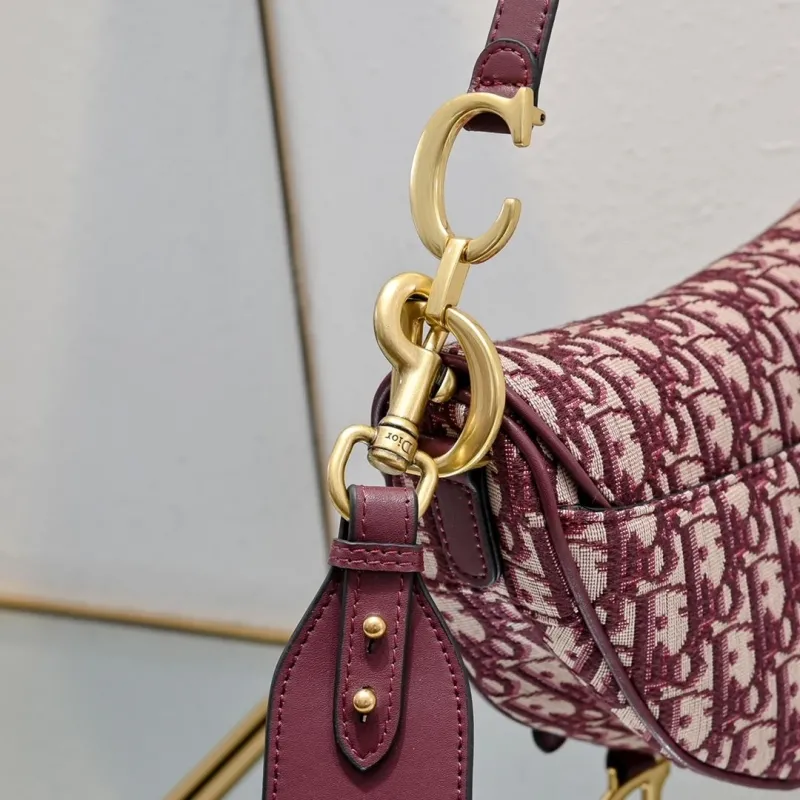 Dior Saddle Bags-63 - Image 4