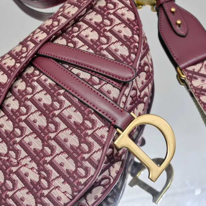 Dior Saddle Bags-63 - Image 5