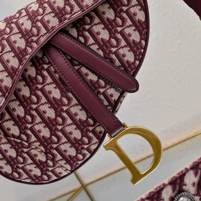 Dior Saddle Bags-63 - Image 6
