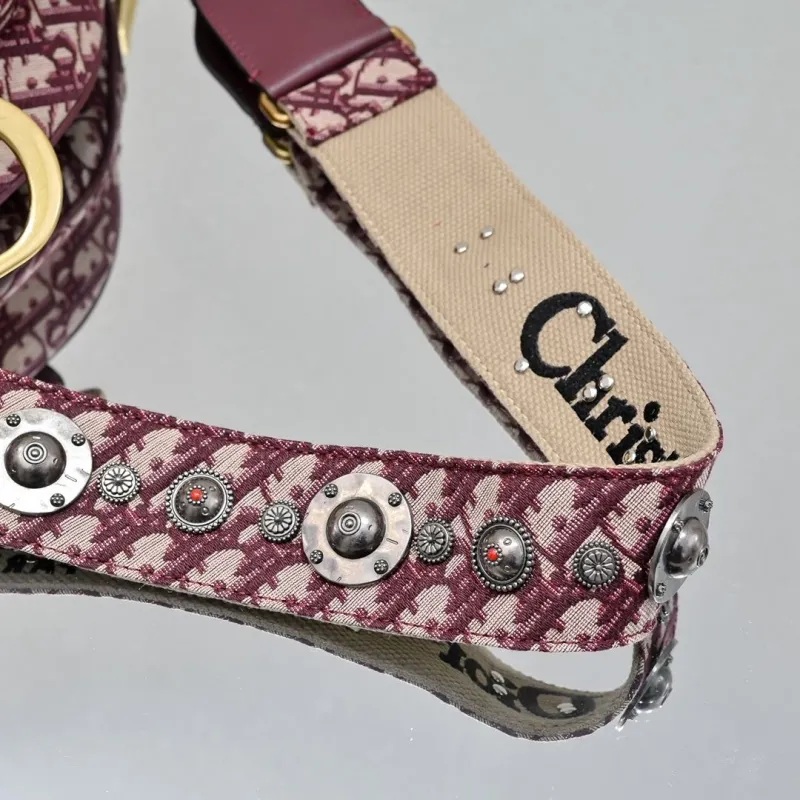 Dior Saddle Bags-63 - Image 7