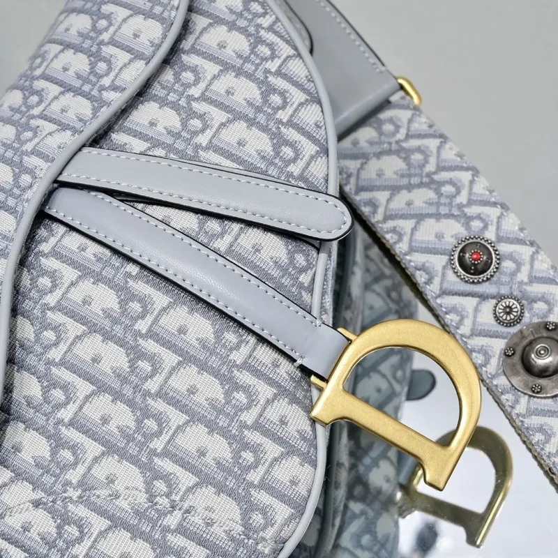 Dior Saddle Bags-65 - Image 6