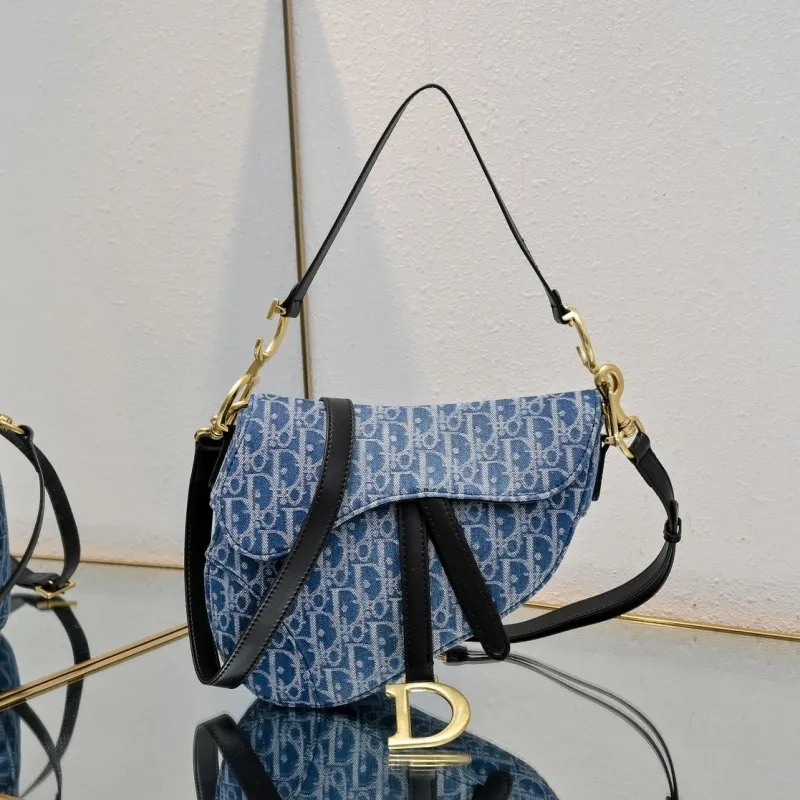 Dior Saddle Bags-70