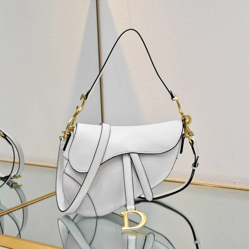 Dior Saddle Bags-79