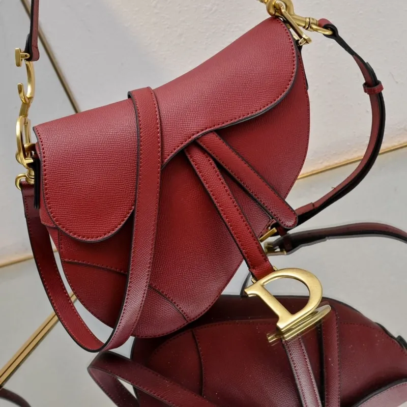 Dior Saddle Bags-81