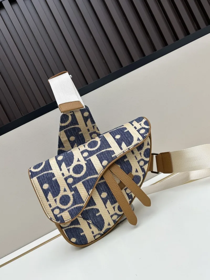 Dior Saddle Bags-87