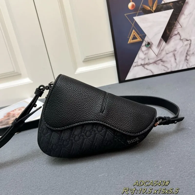 Dior Saddle Bags-88