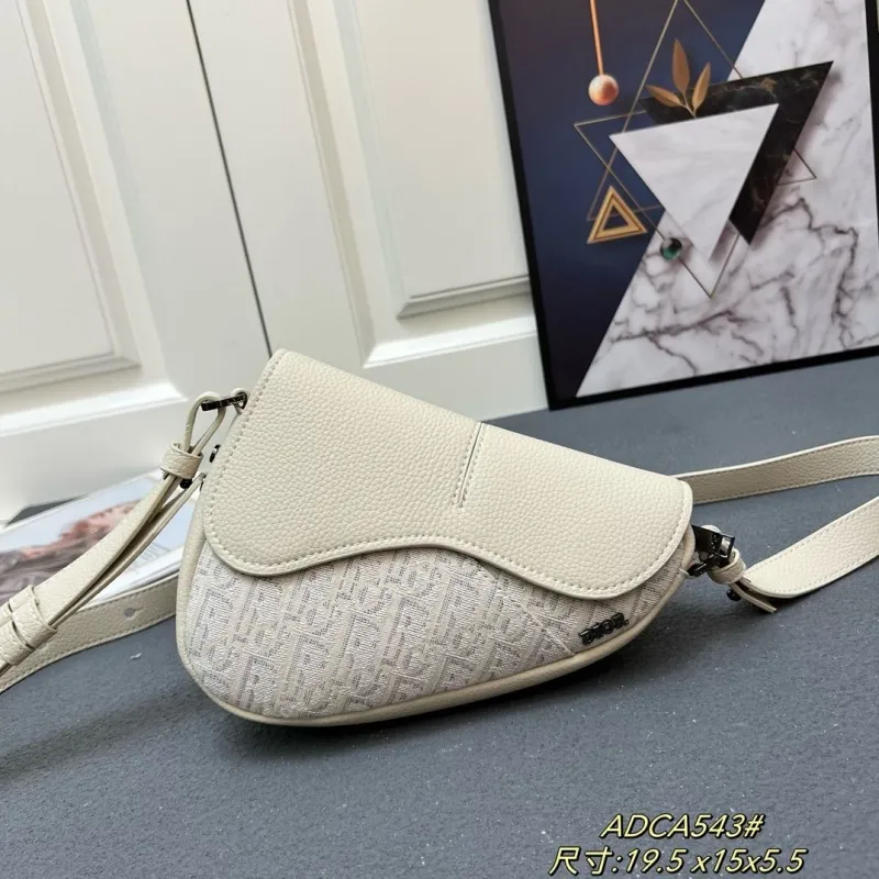 Dior Saddle Bags-89