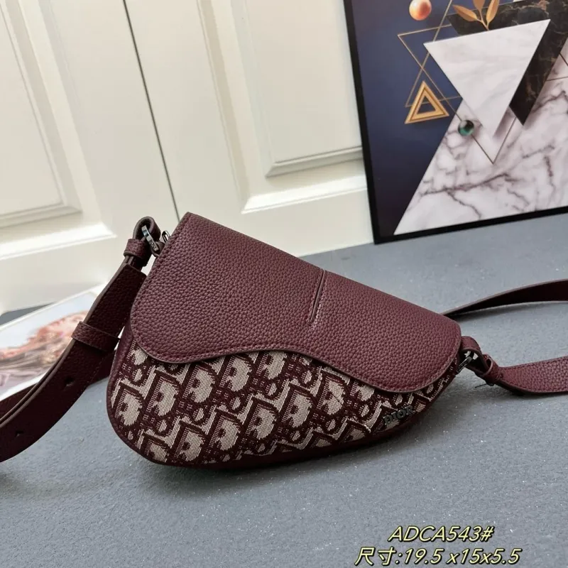 Dior Saddle Bags-90