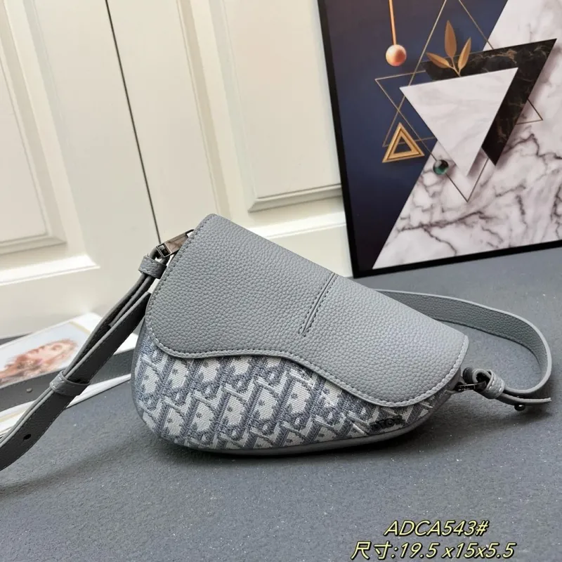 Dior Saddle Bags-91