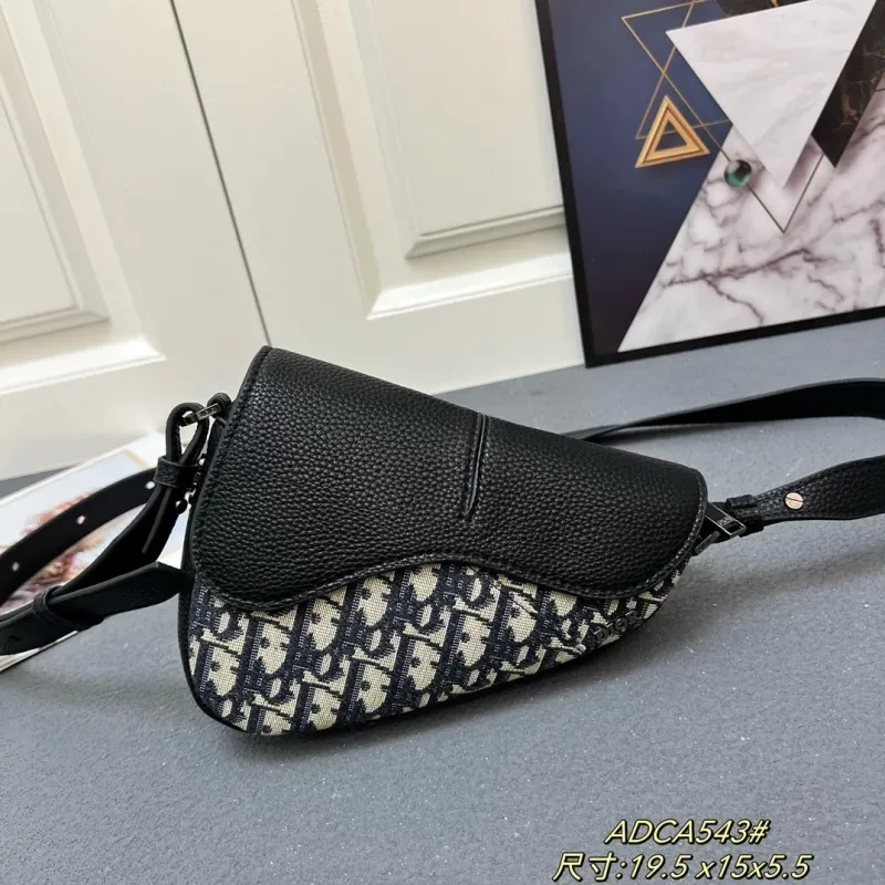 Dior Saddle Bags-92