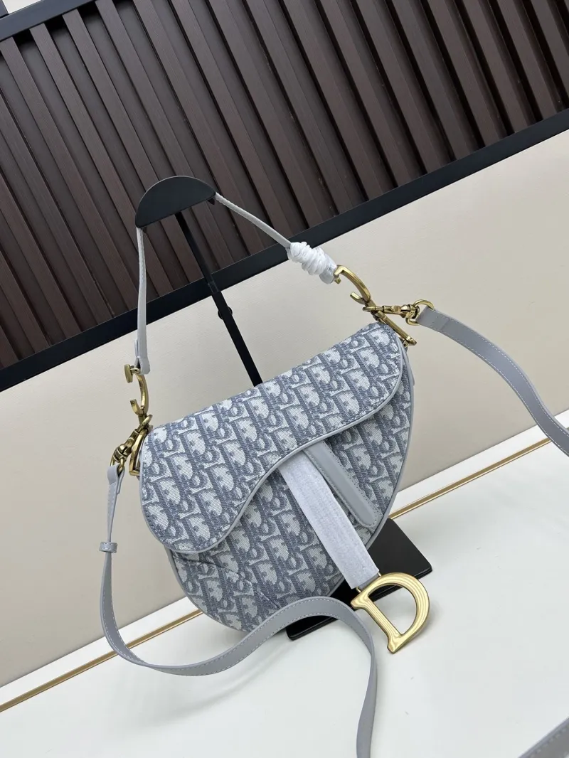 Dior Saddle Bags-95