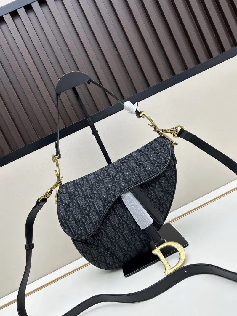 Dior Saddle Bags-96