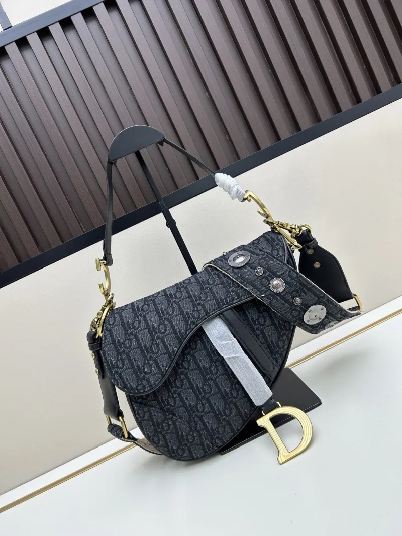 Dior Saddle Bags-99