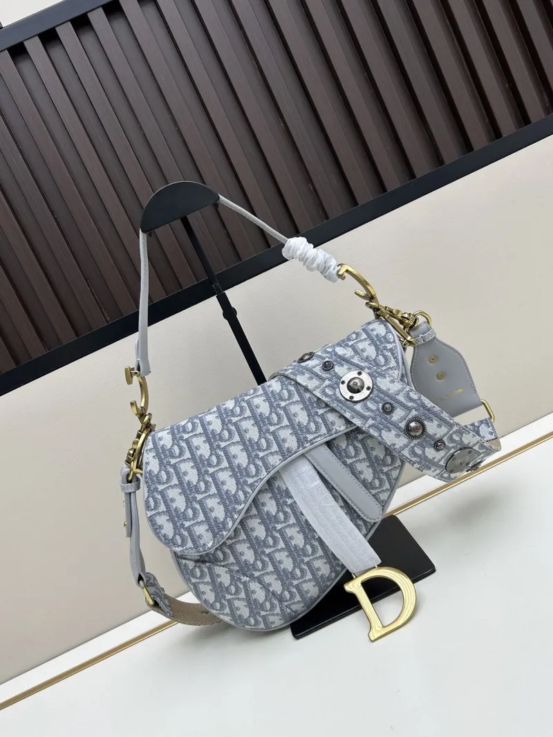 Dior Saddle Bags-100