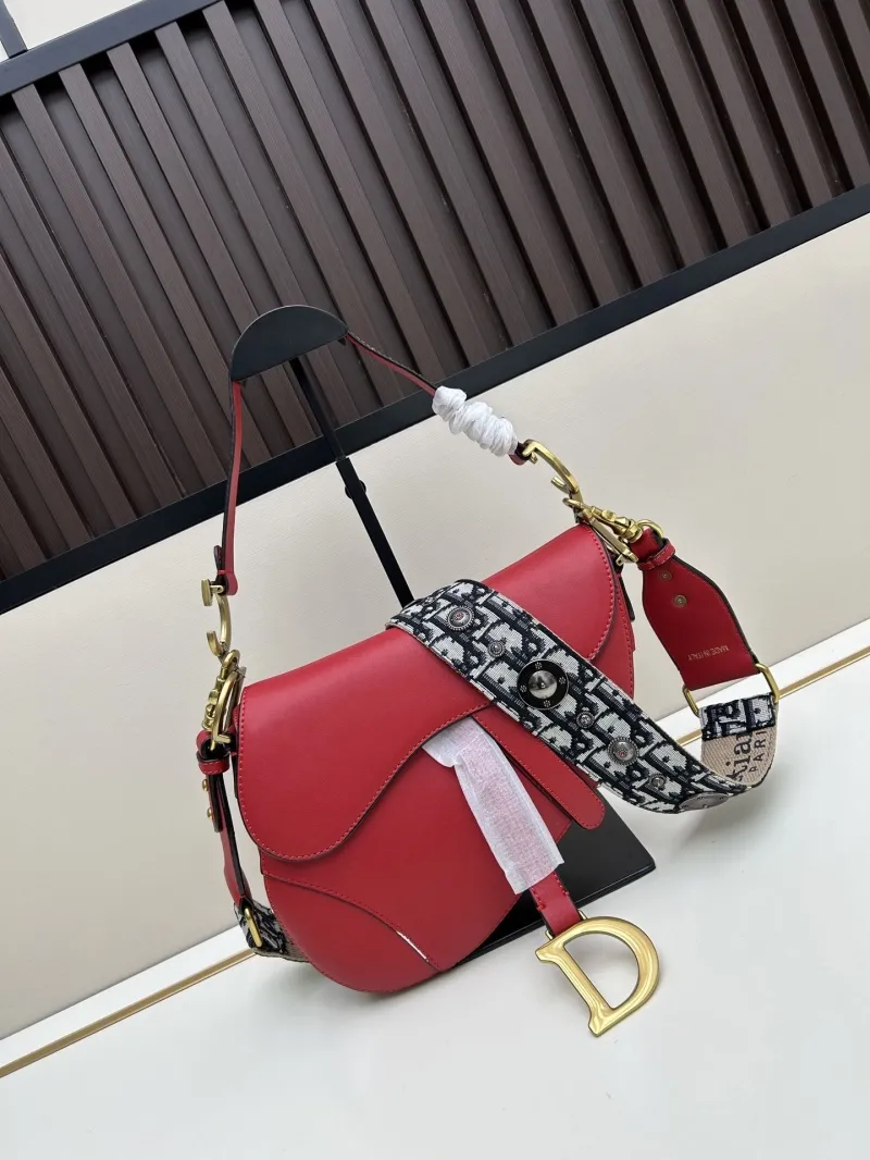 Dior Saddle Bags-101