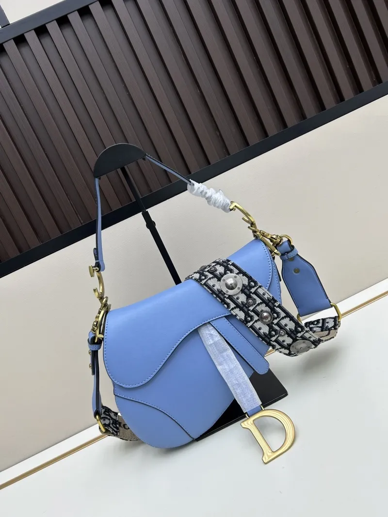 Dior Saddle Bags-102