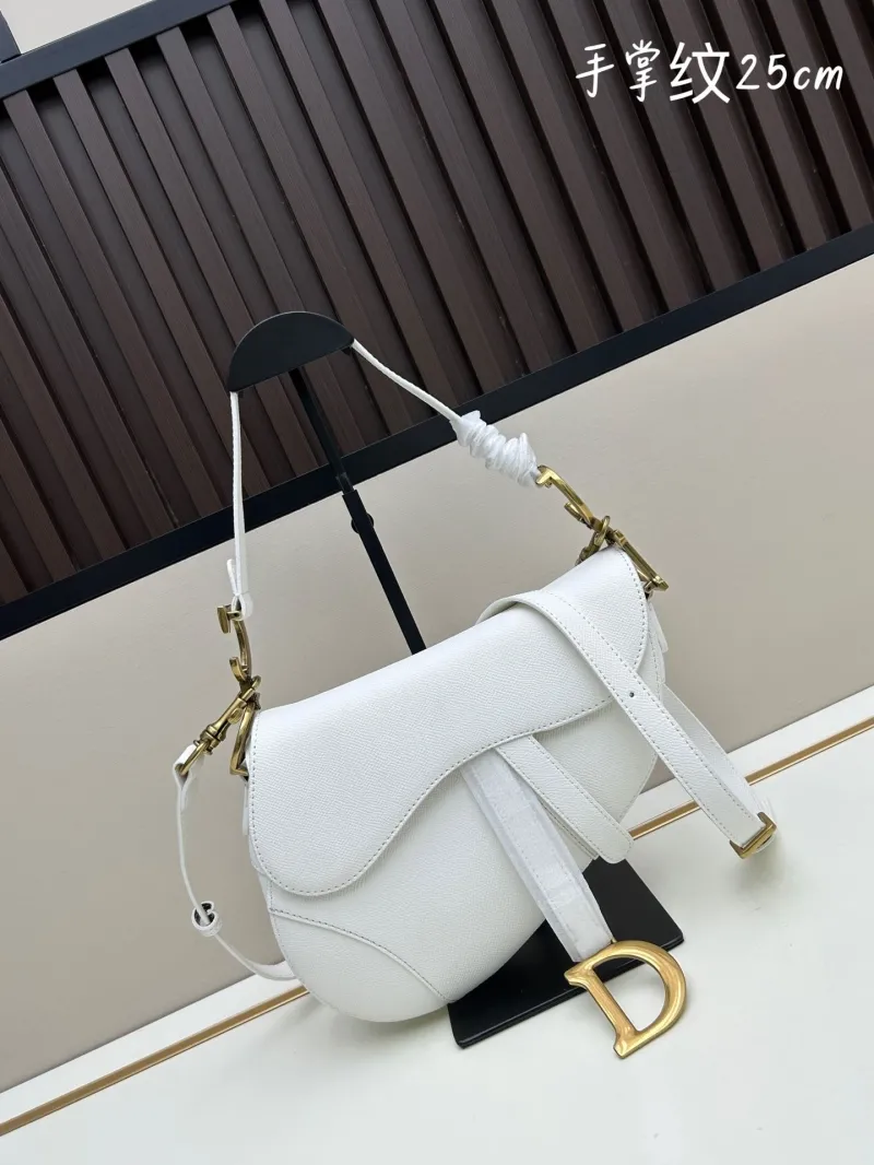 Dior Saddle Bags-109