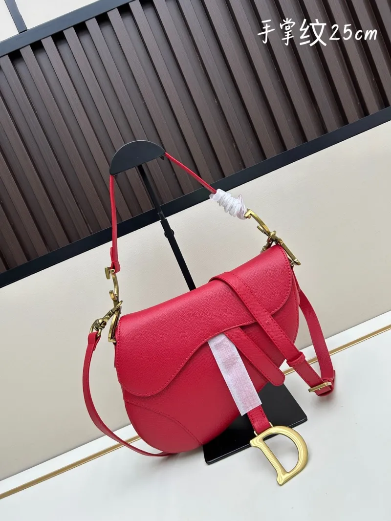 Dior Saddle Bags-110