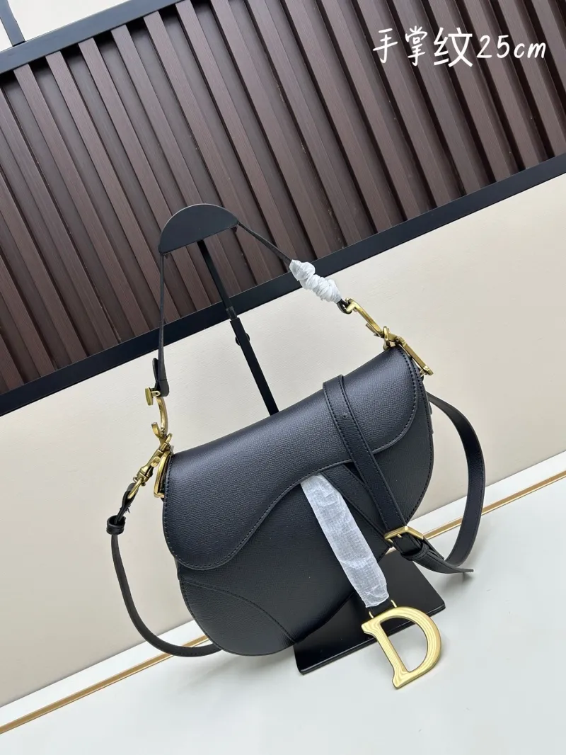Dior Saddle Bags-111