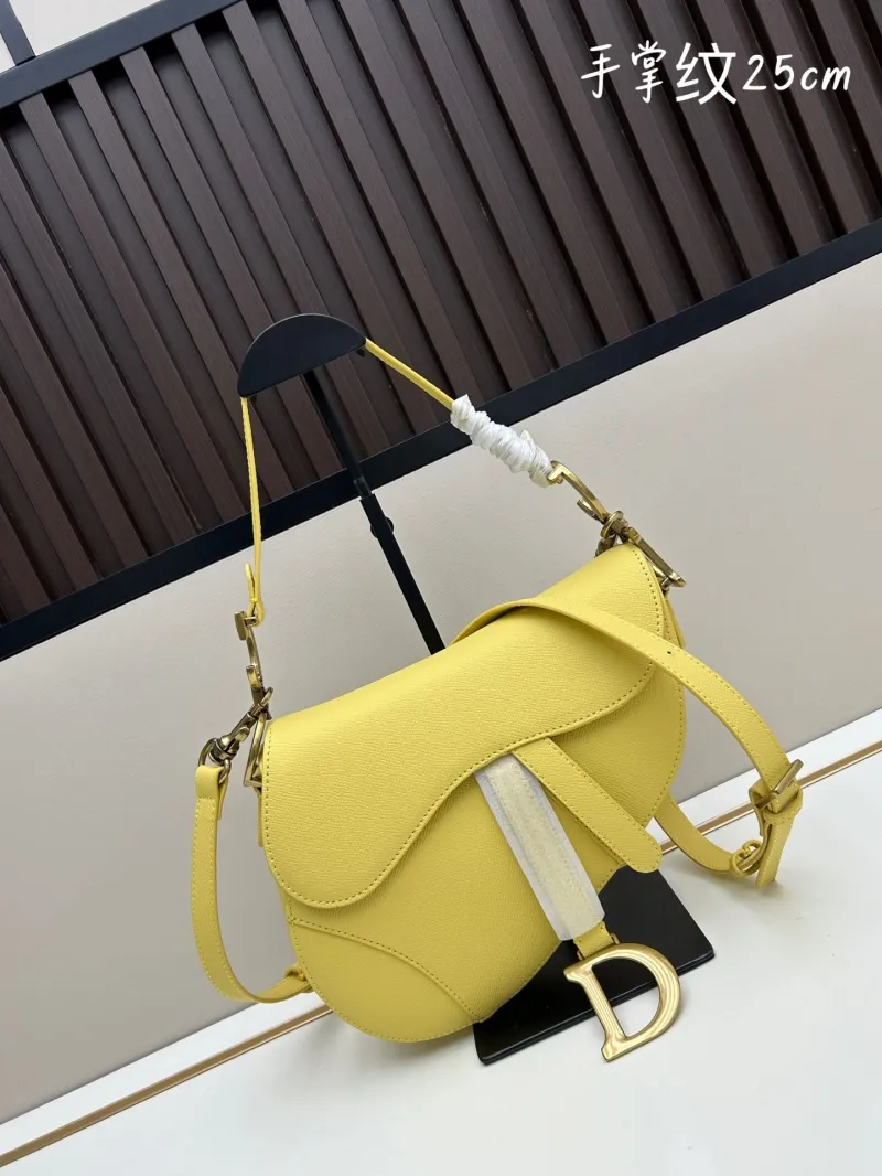 Dior Saddle Bags-112