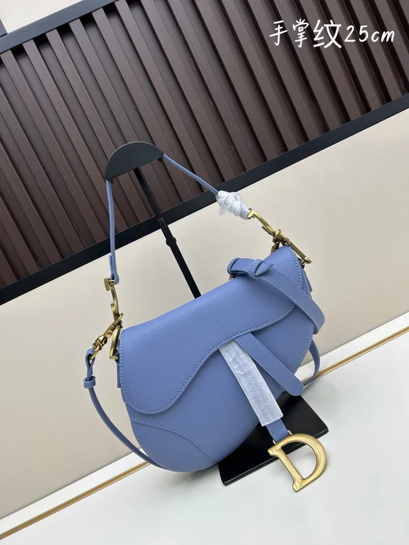 Dior Saddle Bags-113