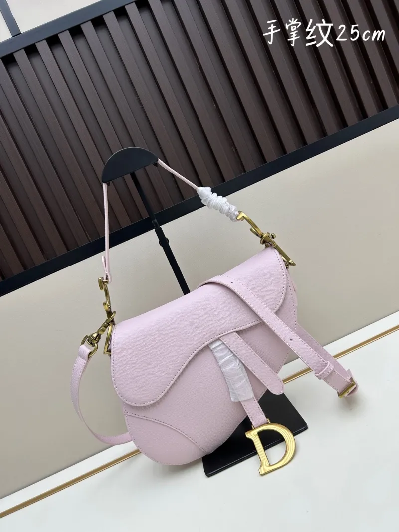 Dior Saddle Bags-114