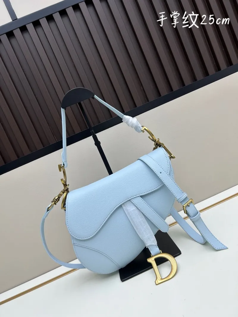 Dior Saddle Bags-115