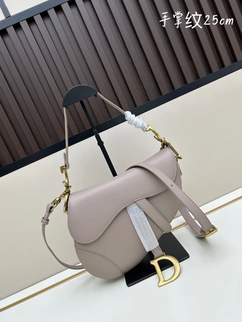 Dior Saddle Bags-116