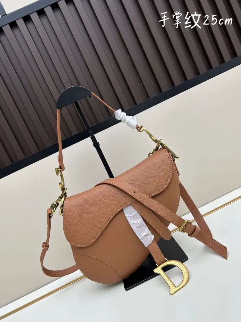 Dior Saddle Bags-117