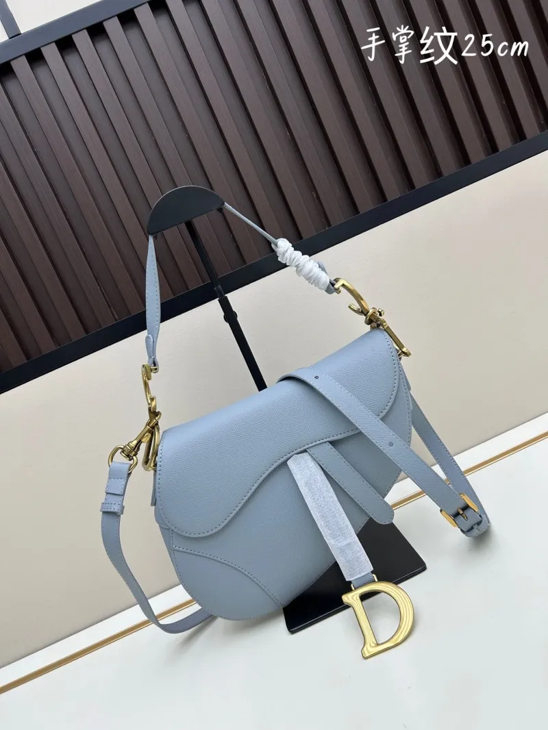 Dior Saddle Bags-118
