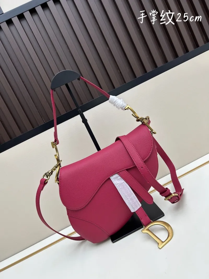 Dior Saddle Bags-119