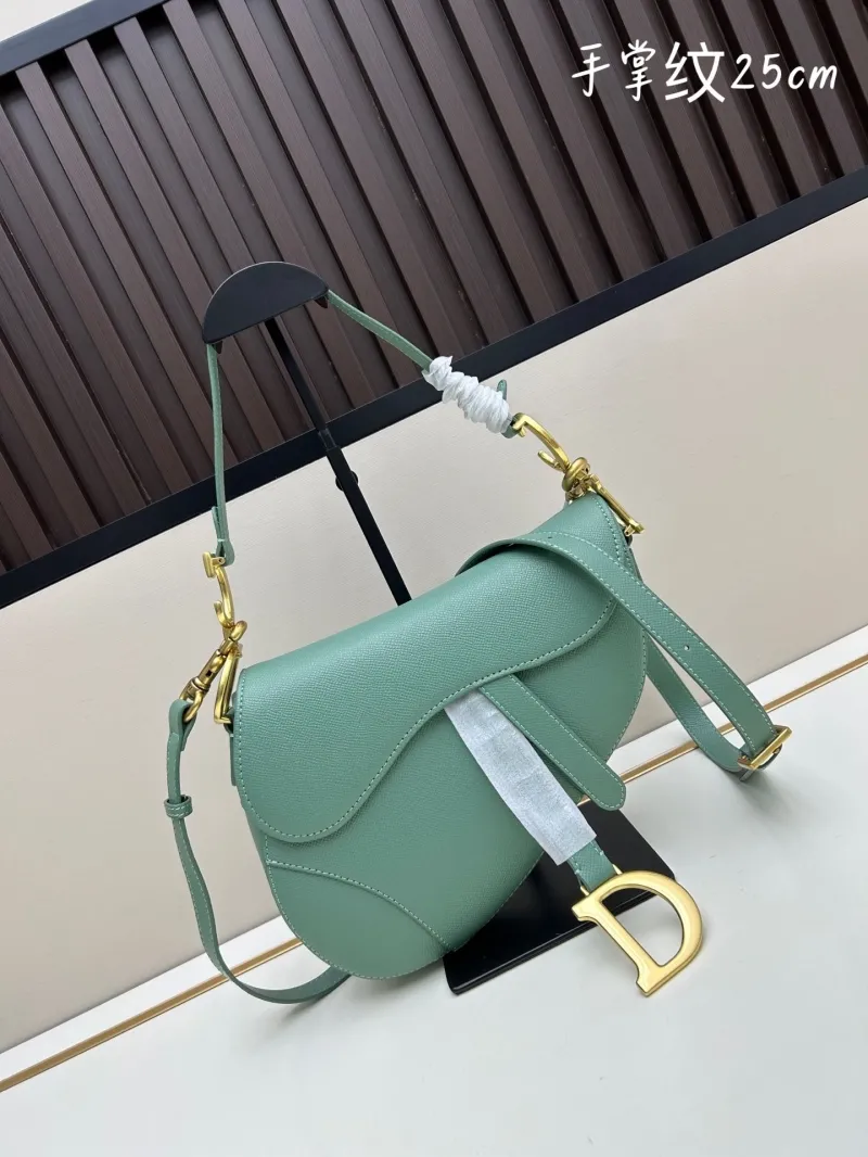 Dior Saddle Bags-120