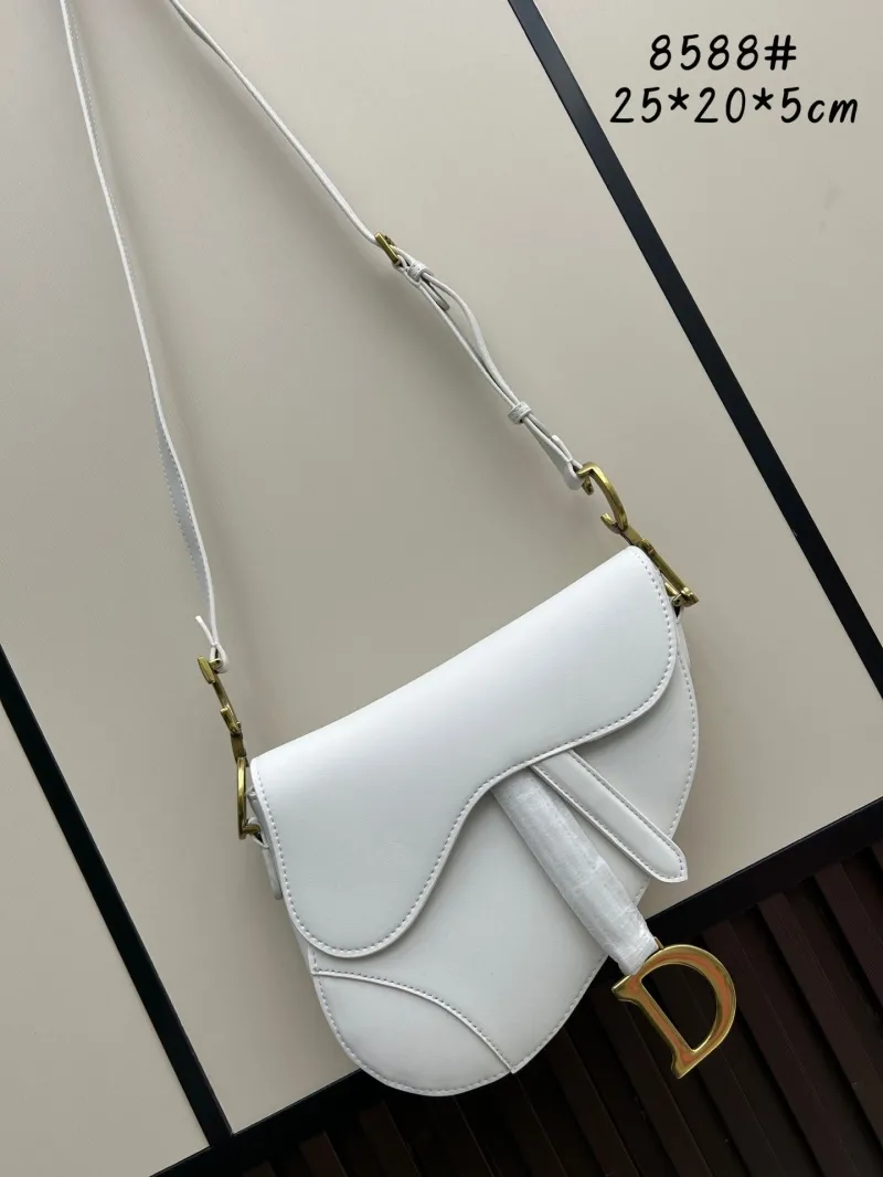 Dior Saddle Bags-121