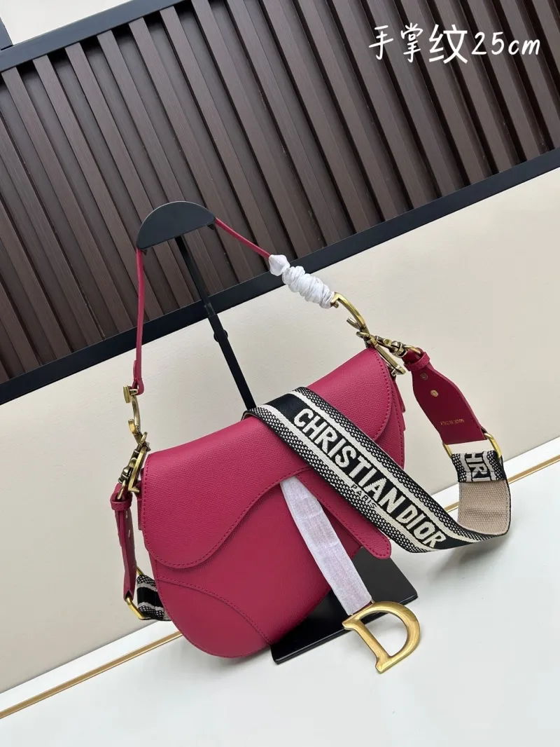 Dior Saddle Bags-127