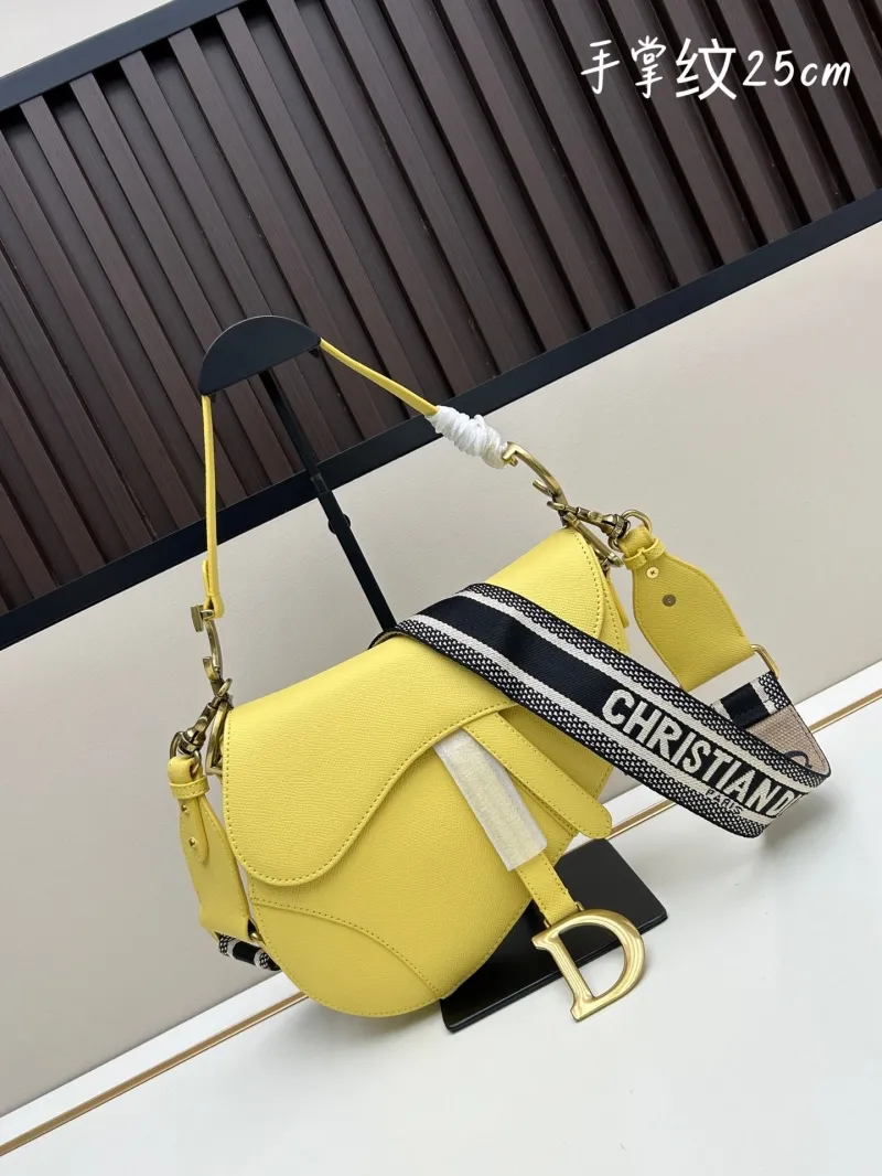 Dior Saddle Bags-130