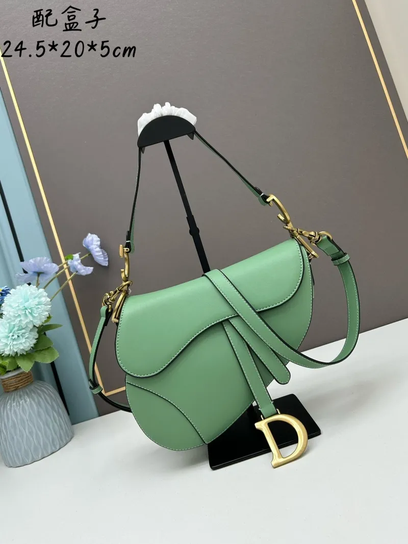 Dior Saddle Bags-139