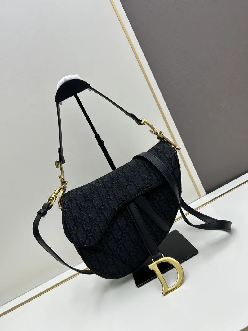 Dior Saddle Bags-149