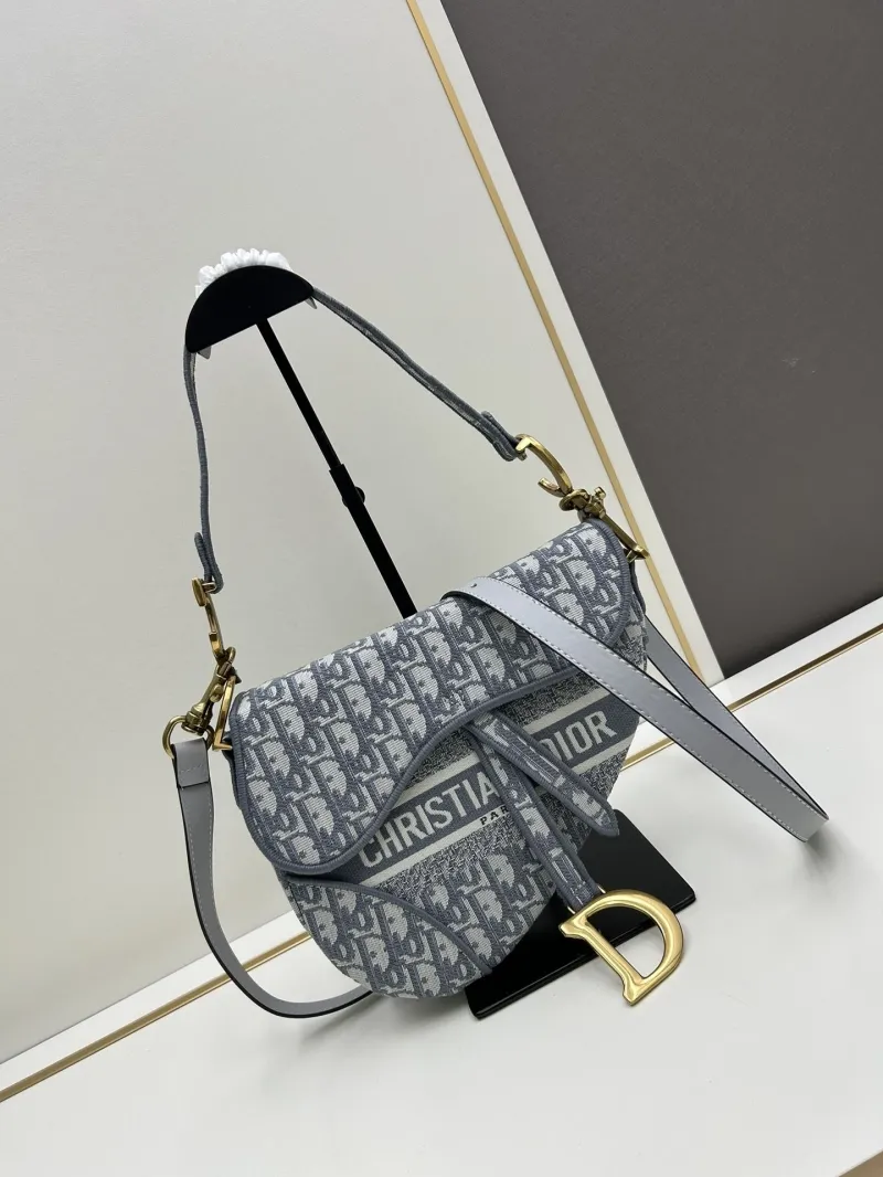 Dior Saddle Bags-151