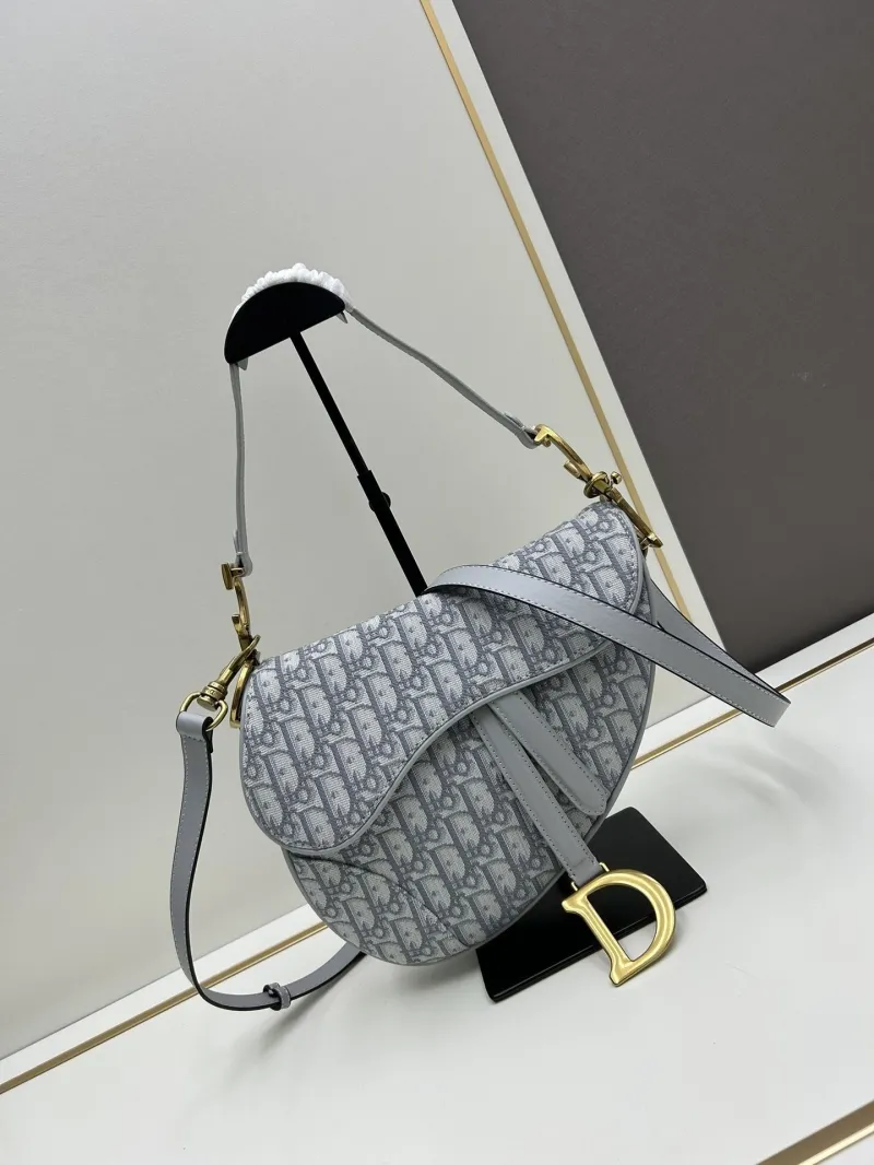 Dior Saddle Bags-152