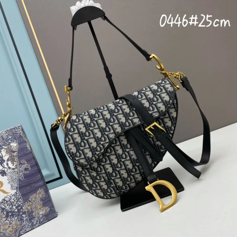 Dior Saddle Bags-154