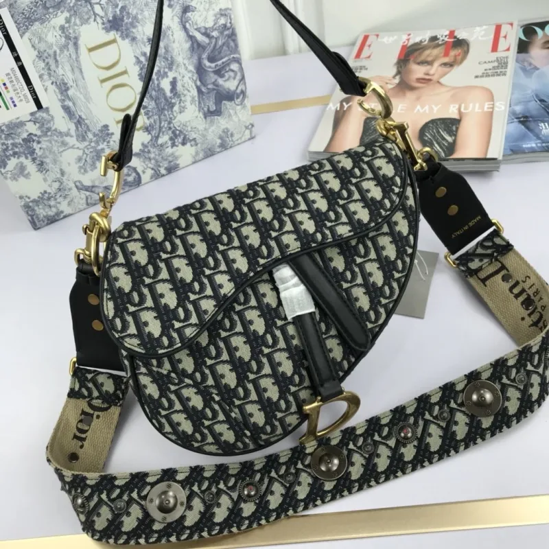 Dior Saddle Bags-156