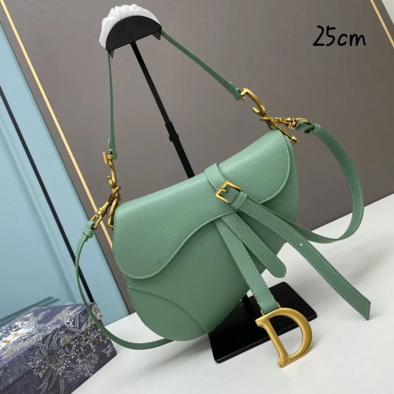Dior Saddle Bags-157