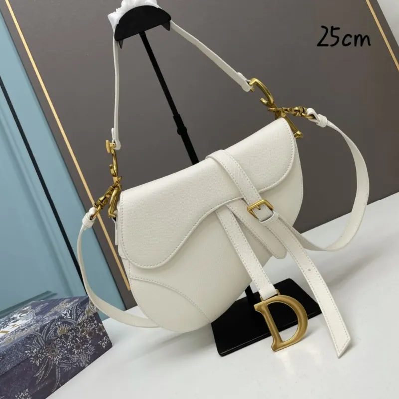 Dior Saddle Bags-159