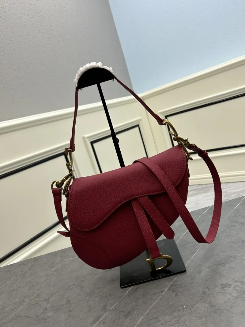Dior Saddle Bags-163