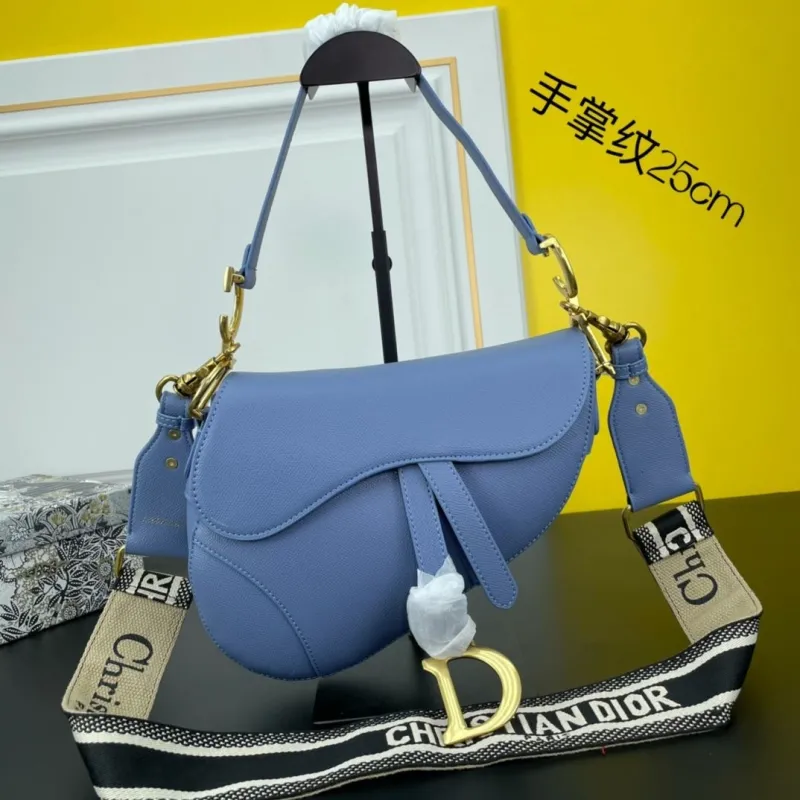 Dior Saddle Bags-167