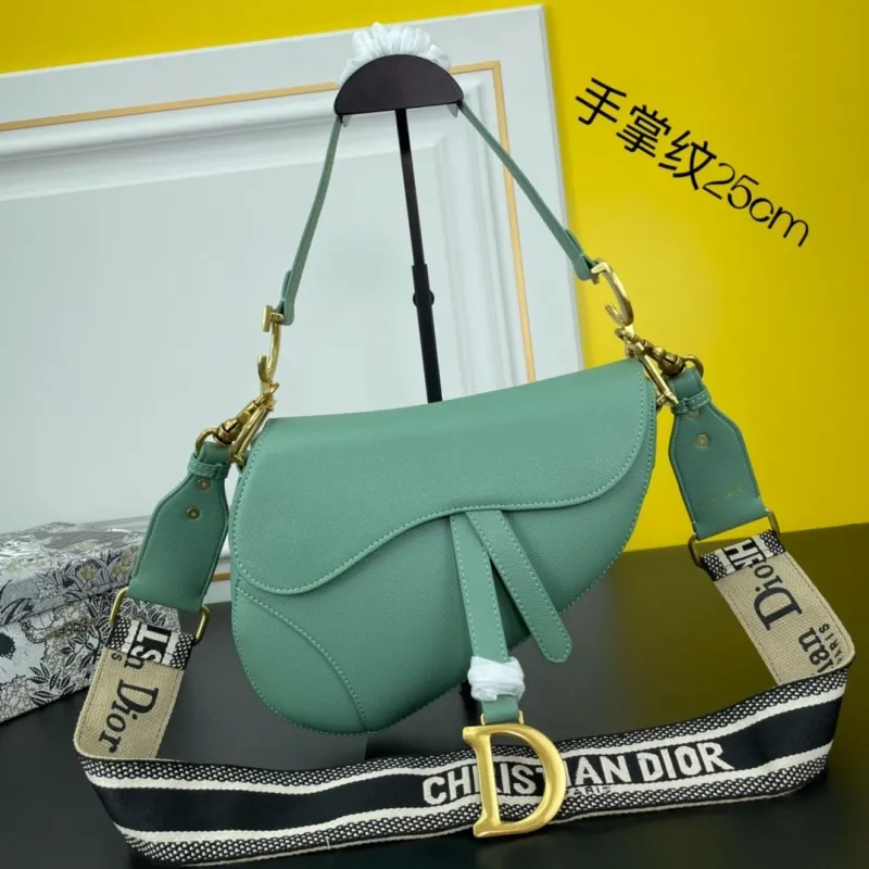 Dior Saddle Bags-168