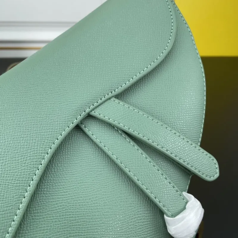 Dior Saddle Bags-168 - Image 5