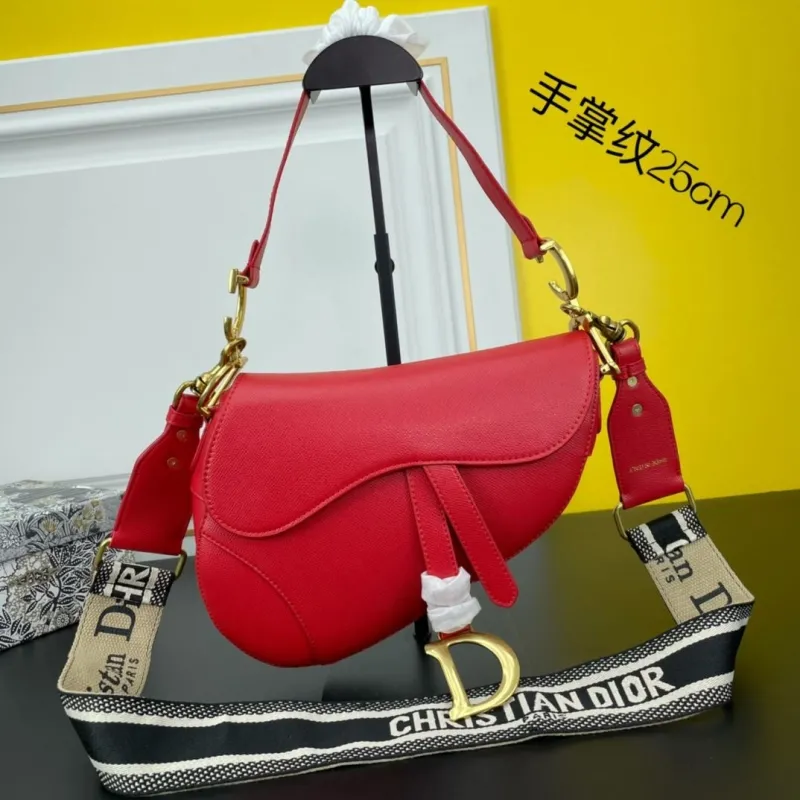Dior Saddle Bags-169